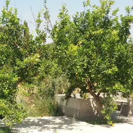Vrondos Faneromeni (Crete)